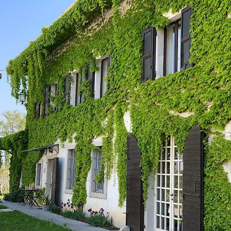 Agriturismo Tra Le Vigne Buttrio Екстериор снимка