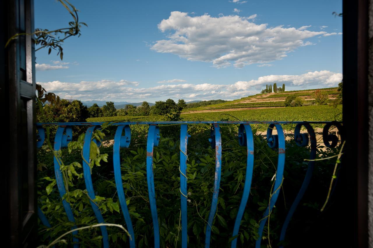 Agriturismo Tra Le Vigne Buttrio Екстериор снимка